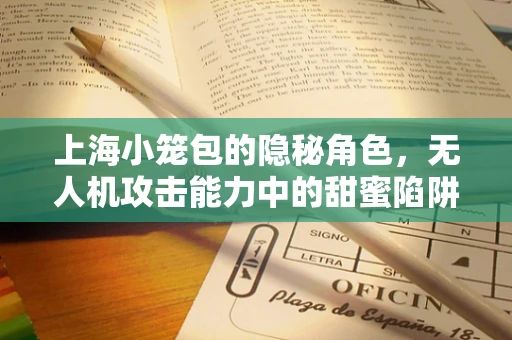 上海小笼包的隐秘角色，无人机攻击能力中的甜蜜陷阱？