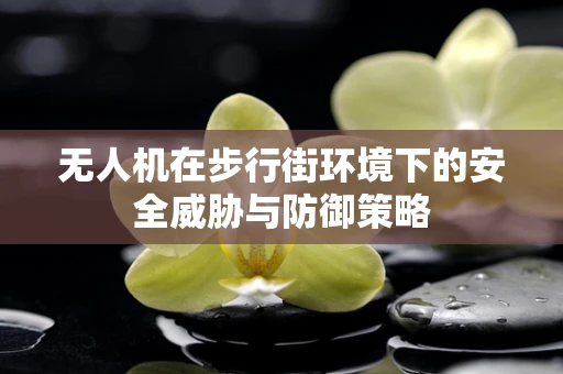 无人机在步行街环境下的安全威胁与防御策略