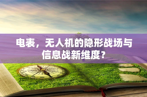 电表，无人机的隐形战场与信息战新维度？