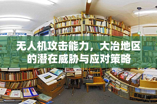 无人机攻击能力，大冶地区的潜在威胁与应对策略