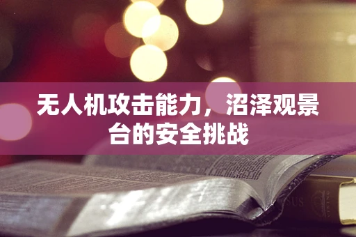无人机攻击能力，沼泽观景台的安全挑战