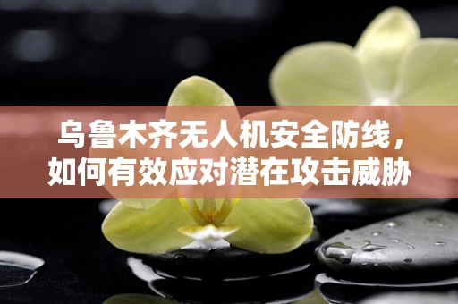 乌鲁木齐无人机安全防线，如何有效应对潜在攻击威胁？