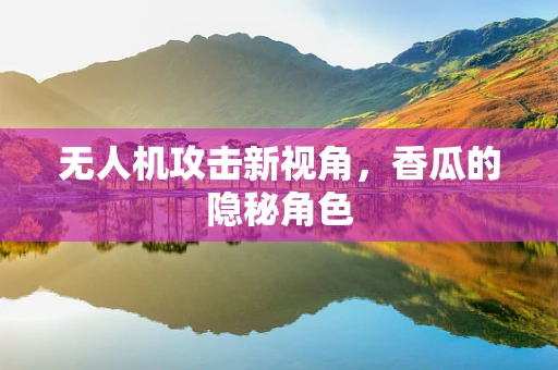 无人机攻击新视角，香瓜的隐秘角色