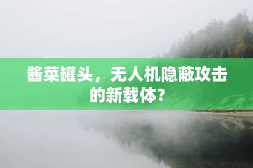 酱菜罐头，无人机隐蔽攻击的新载体？