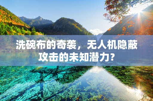 洗碗布的奇袭，无人机隐蔽攻击的未知潜力？