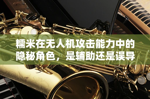糯米在无人机攻击能力中的隐秘角色，是辅助还是误导？