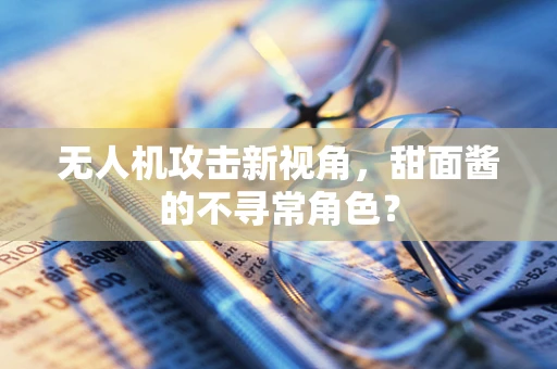 无人机攻击新视角，甜面酱的不寻常角色？