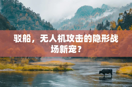 驳船，无人机攻击的隐形战场新宠？