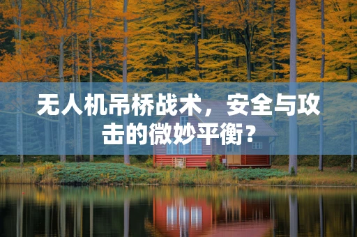 无人机吊桥战术，安全与攻击的微妙平衡？