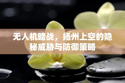无人机暗战，扬州上空的隐秘威胁与防御策略