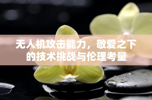无人机攻击能力，敬爱之下的技术挑战与伦理考量