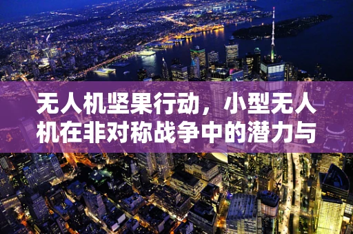 无人机坚果行动，小型无人机在非对称战争中的潜力与挑战？