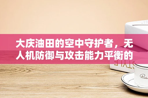 大庆油田的空中守护者，无人机防御与攻击能力平衡的挑战