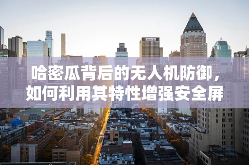 哈密瓜背后的无人机防御，如何利用其特性增强安全屏障？