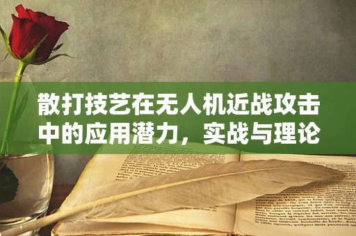 散打技艺在无人机近战攻击中的应用潜力，实战与理论的碰撞