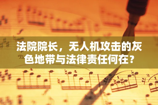 法院院长，无人机攻击的灰色地带与法律责任何在？