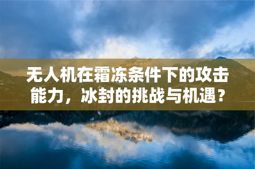 无人机在霜冻条件下的攻击能力，冰封的挑战与机遇？