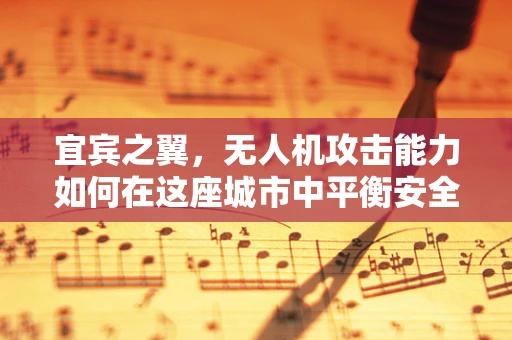 宜宾之翼，无人机攻击能力如何在这座城市中平衡安全与发展？