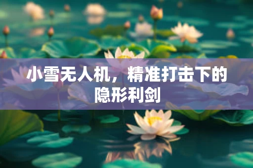小雪无人机，精准打击下的隐形利剑