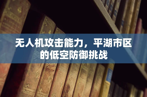 无人机攻击能力，平湖市区的低空防御挑战