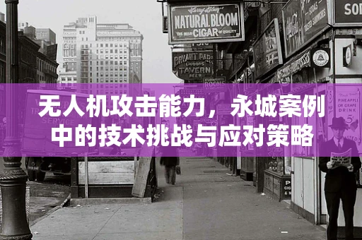 无人机攻击能力，永城案例中的技术挑战与应对策略