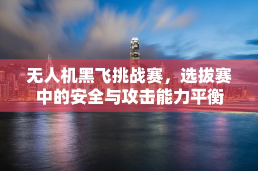 无人机黑飞挑战赛，选拔赛中的安全与攻击能力平衡