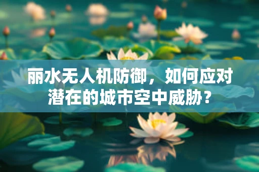 丽水无人机防御，如何应对潜在的城市空中威胁？