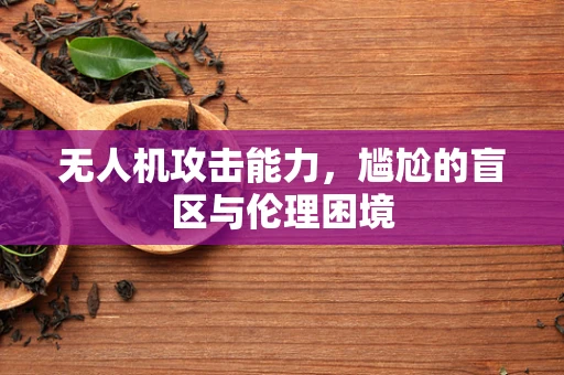 无人机攻击能力，尴尬的盲区与伦理困境