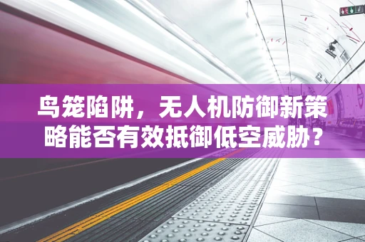 鸟笼陷阱，无人机防御新策略能否有效抵御低空威胁？