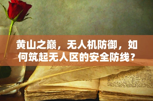 黄山之巅，无人机防御，如何筑起无人区的安全防线？