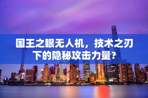 国王之眼无人机，技术之刃下的隐秘攻击力量？