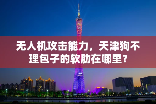 无人机攻击能力，天津狗不理包子的软肋在哪里？