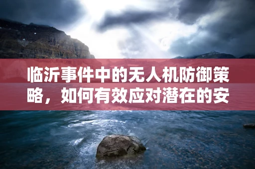 临沂事件中的无人机防御策略，如何有效应对潜在的安全威胁？