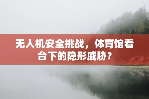 无人机安全挑战，体育馆看台下的隐形威胁？