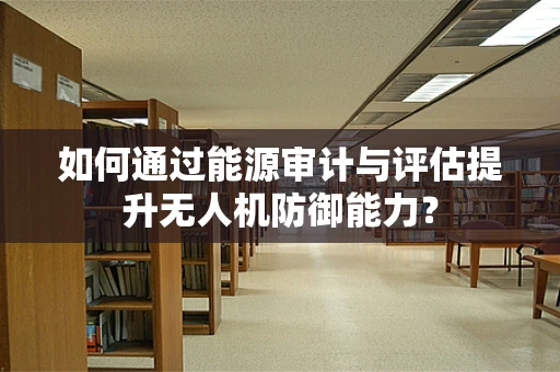 如何通过能源审计与评估提升无人机防御能力？