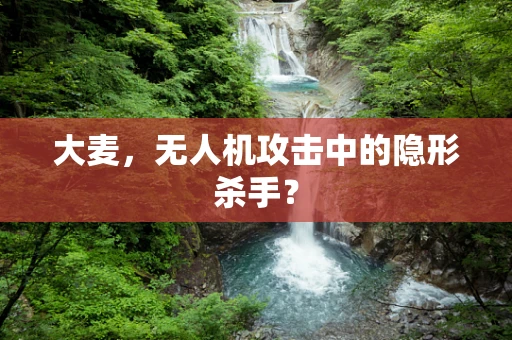 大麦，无人机攻击中的隐形杀手？