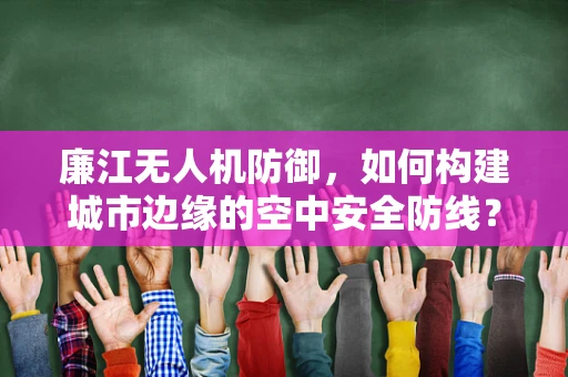 廉江无人机防御，如何构建城市边缘的空中安全防线？