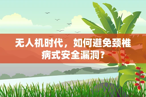 无人机时代，如何避免颈椎病式安全漏洞？