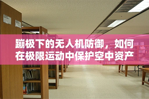 蹦极下的无人机防御，如何在极限运动中保护空中资产？