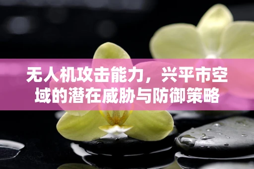 无人机攻击能力，兴平市空域的潜在威胁与防御策略