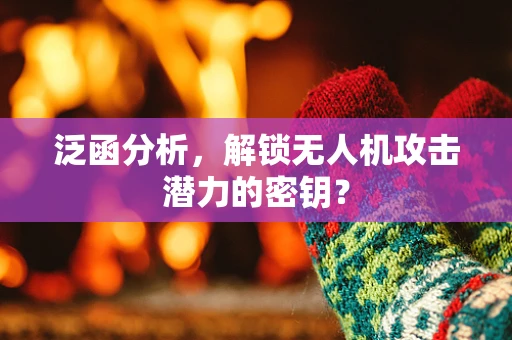 泛函分析，解锁无人机攻击潜力的密钥？