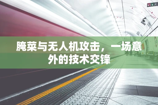 腌菜与无人机攻击，一场意外的技术交锋