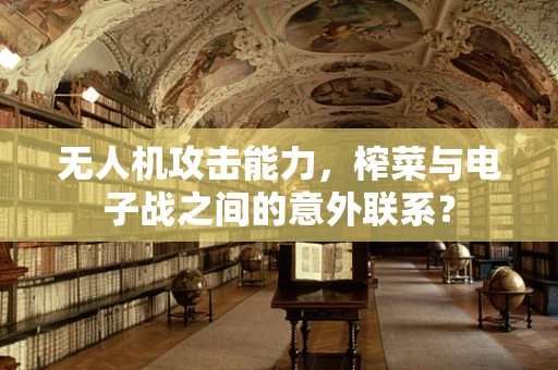 无人机攻击能力，榨菜与电子战之间的意外联系？