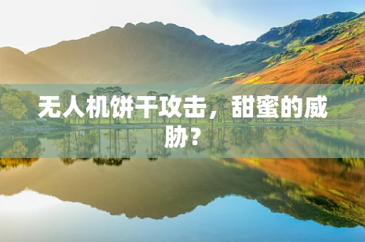无人机饼干攻击，甜蜜的威胁？