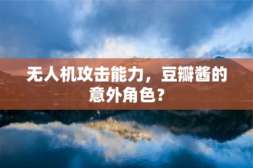 无人机攻击能力，豆瓣酱的意外角色？