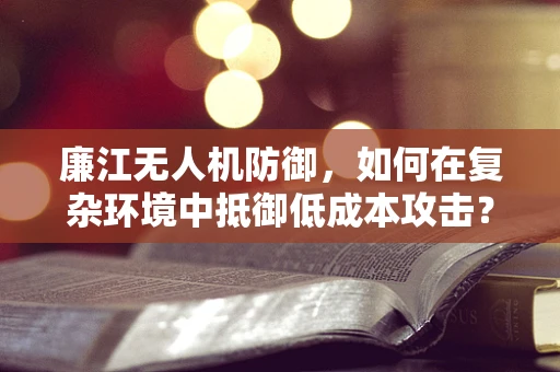 廉江无人机防御，如何在复杂环境中抵御低成本攻击？