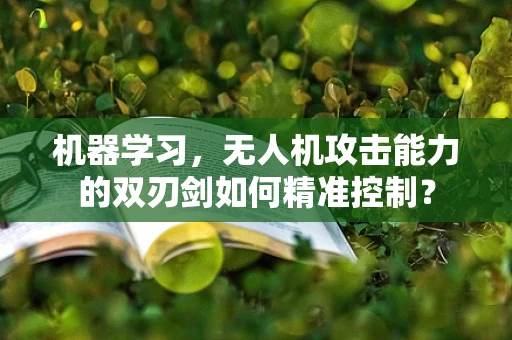 机器学习，无人机攻击能力的双刃剑如何精准控制？
