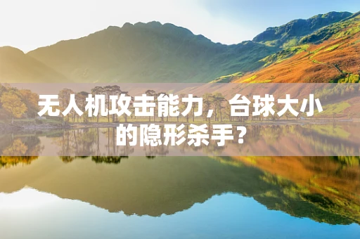 无人机攻击能力，台球大小的隐形杀手？