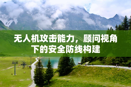 无人机攻击能力，顾问视角下的安全防线构建