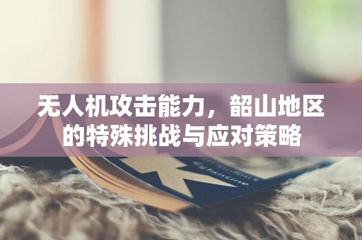 无人机攻击能力，韶山地区的特殊挑战与应对策略
